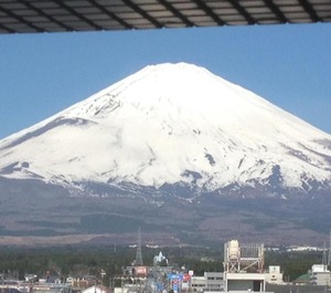 Fuji Gotenba Tannpopo 