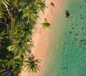 Beach Resort 