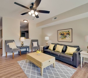 Basement Retreat Mi Cloudland Canyon 