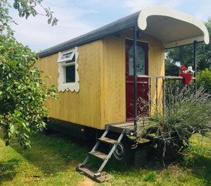 Holiday Bergen Op Garden 
