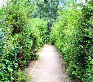 Höfthus 