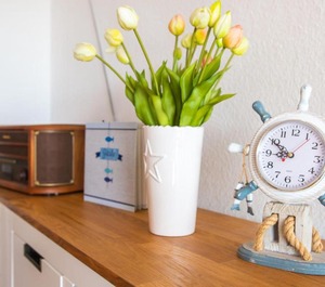 Haus Deich Wohnung 