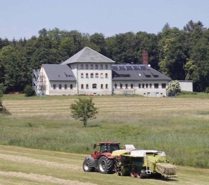 Holiday Surroundings Of The Edge Forest 