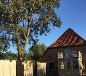 Holiday Mursewiek Persons Bedrooms 