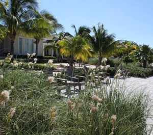 Paradise 