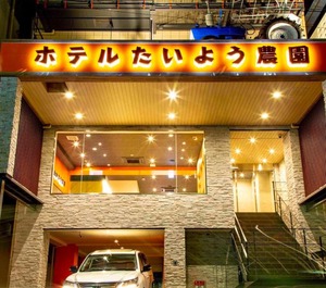 Hotel Taiyo Nibancho Stay 
