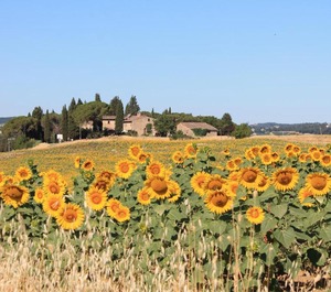 Il Poggio 