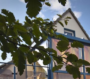 Inselhus Wc 