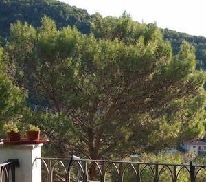 Accommodation Moscenicka Draga 
