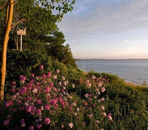 Leland Beach At The Resort 