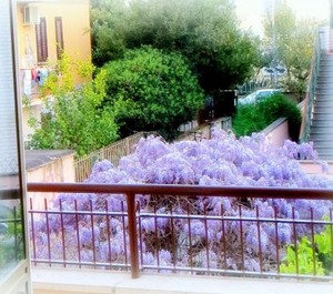 La Casa Di Eva 