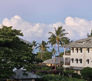 Kolea Waikoloa 