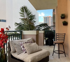 Arya Miami 