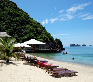 Monkey Island Resort 