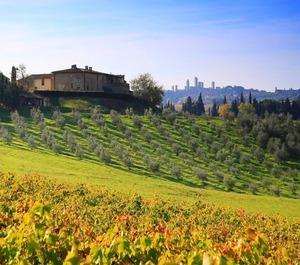 Hotel San Gimignano D 