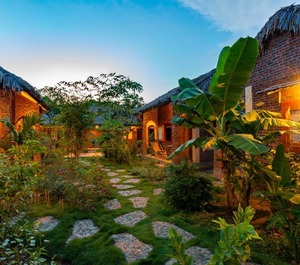 Ninh Palm Homestay 