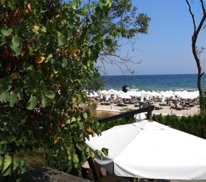 Oasis Resort 
