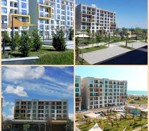 Onix Blue Mamaia 
