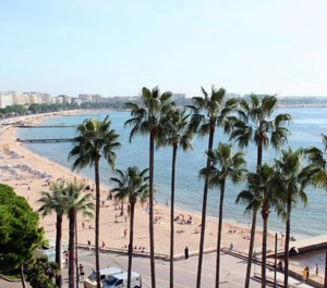 Palais Des Festivals 