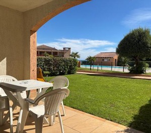 Palmeraie 