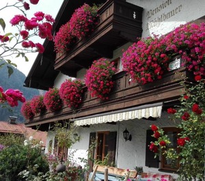 Pension Mühlbauer 