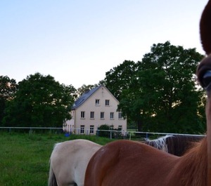 Pferdehof Muhlitz Rügen Idyll Individualists 