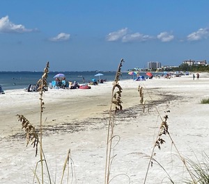 Diamond Gv Fort Myers Beach 