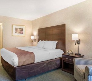 Quality Inn Tysons Corner 