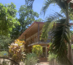 Lodge Located Jungle Setting 