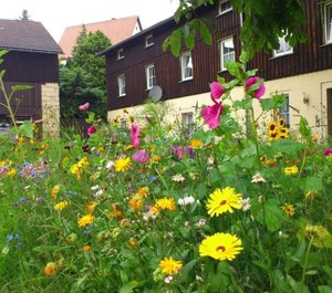 Wei Ig Saxony Garden 