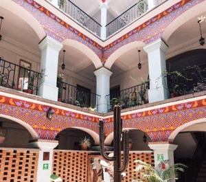 Selina Oaxaca 