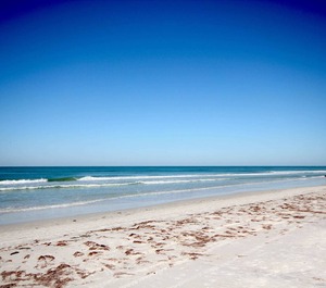 Cs Sarasota 