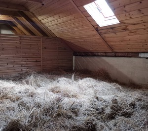 The Hay Ferienhof Sarodnick 