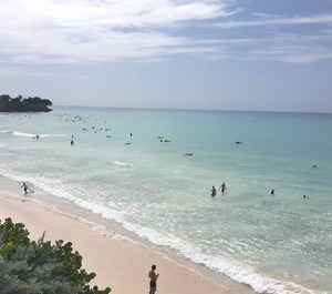 Sea Freight Bay Beach 