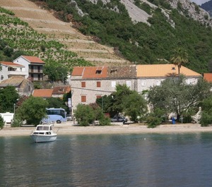 Trstenik 