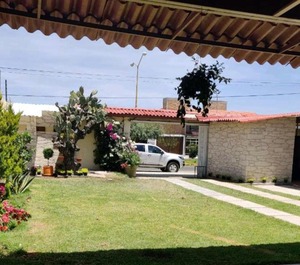 Mágico 