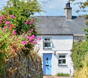 Tan Fynwent 