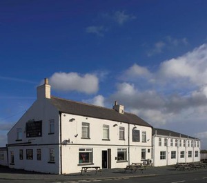 The Horse Hotel 