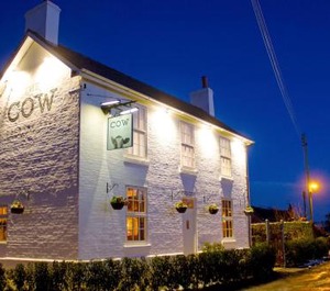 The Cow Dalbury 