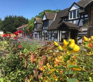 The Thatch Inn 