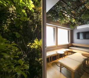 The Wardrobe Hostel Forest Shimokitazawa 