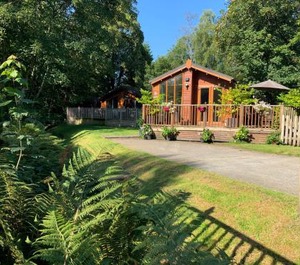Lodge 