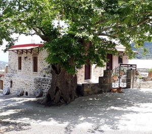 Koukounara 