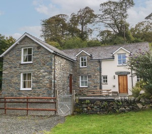 Llwyn 