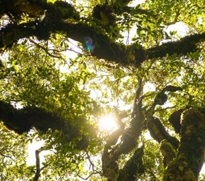 Unwind Taranaki Eco 