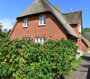 Vrbo Property 