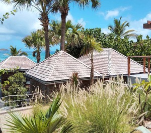 Villa Palm 