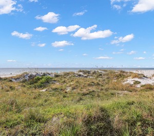 Vistas The Gulf 