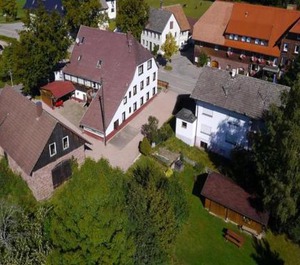 Lauterbach The Forest 