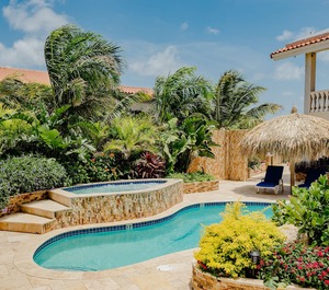 Garden Jacuzzi 
